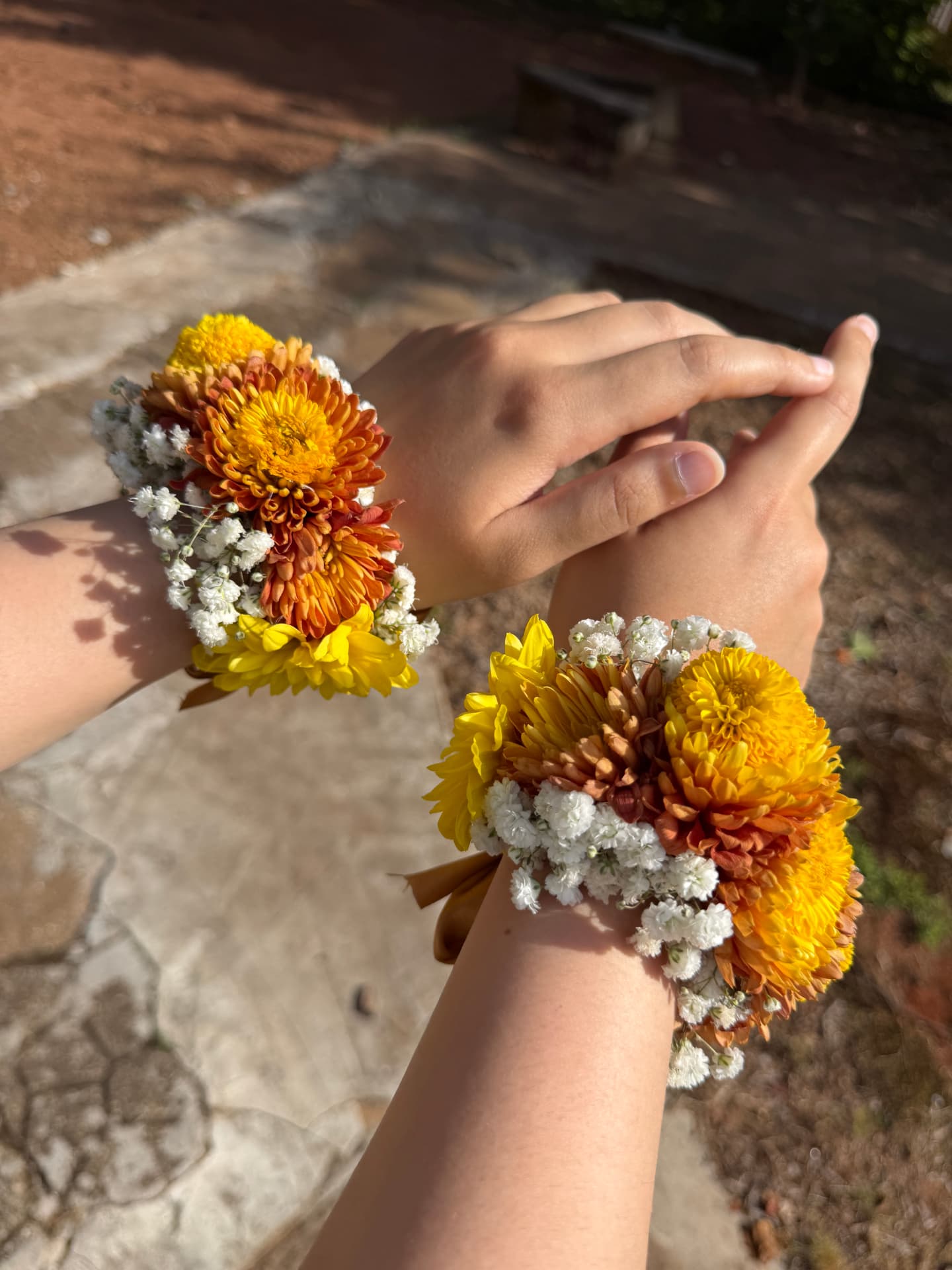 Two wrists wearing matching corsages of yellow, amber and rust chrysanthemums with baby's breath in warm sunlight