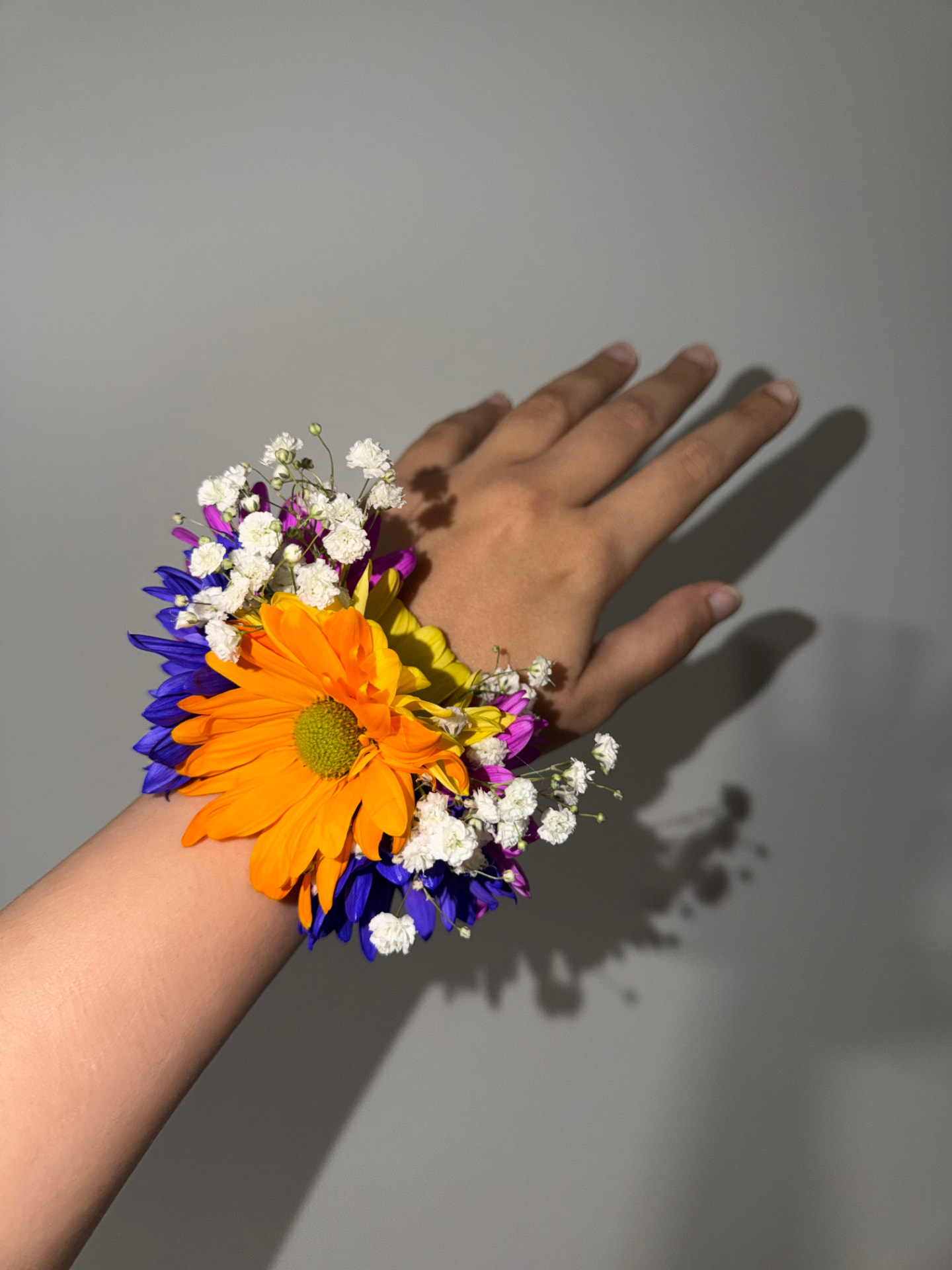 Wrist corsage of an orange gerbera daisy with cobalt blue, magenta and yellow blooms and baby's breath on a raised hand